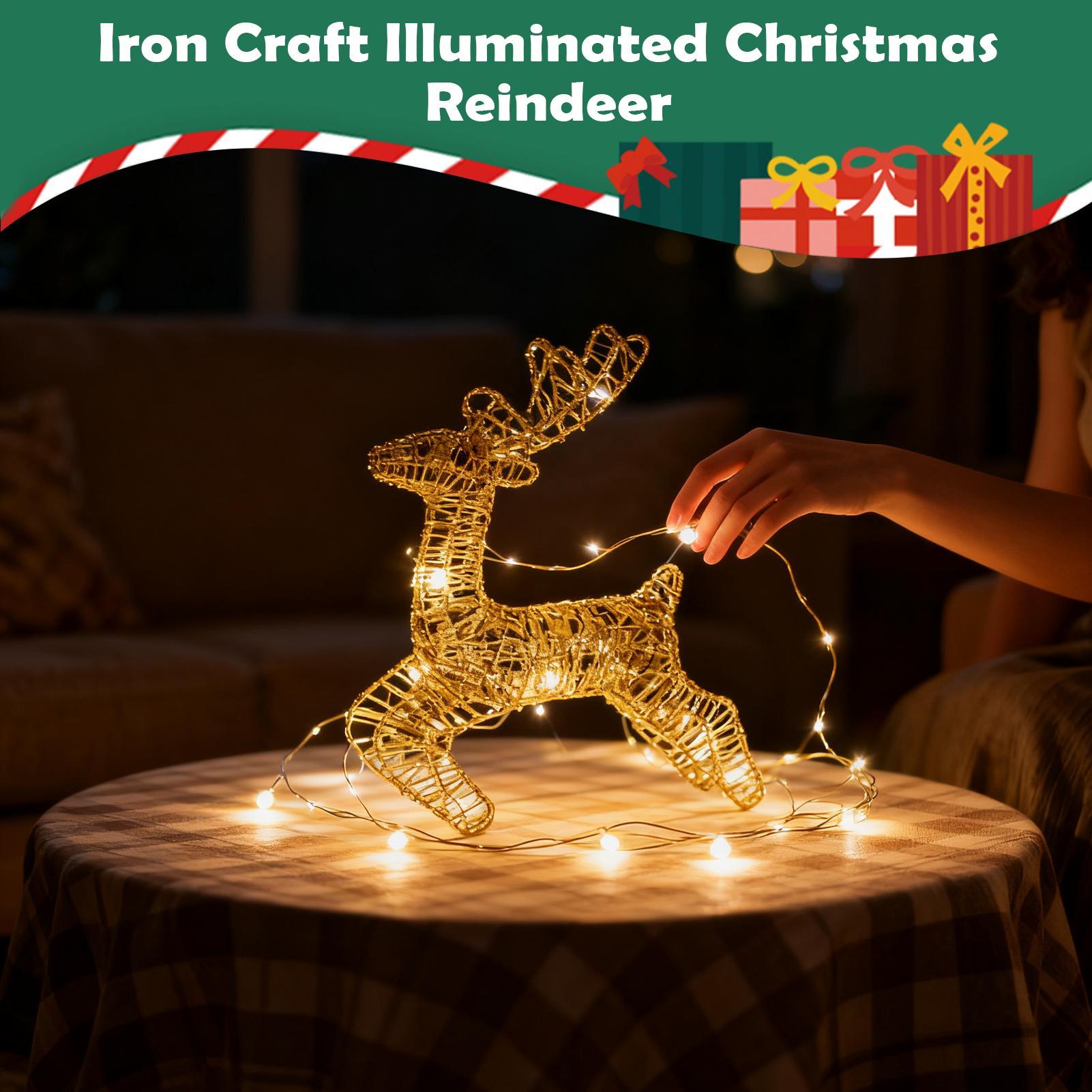 Lighted Christmas Deer Glitter – Outdoor Lighting Front Yard recenzja i cena