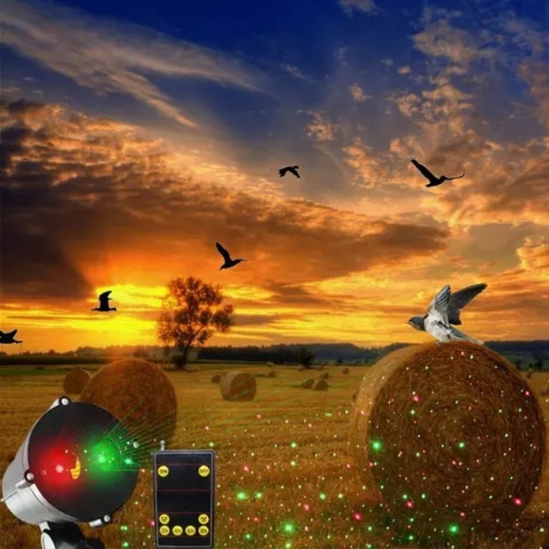 Motion   Bird Repeller with    – Outdoor Lighting Remote Control recenzja i cena